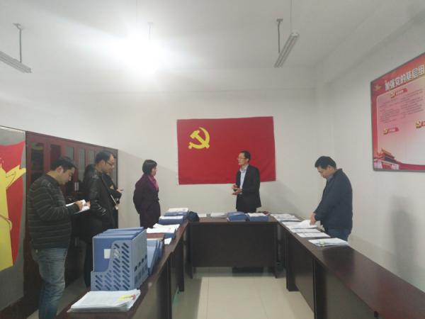学院党委组织开展第四季度党建工作专项督查