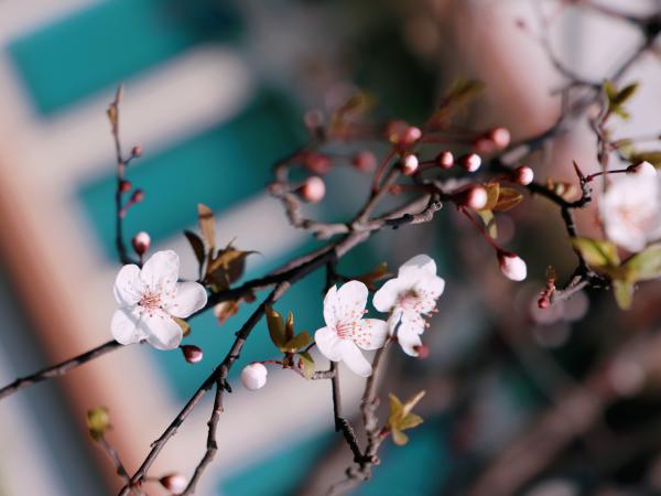 致全校师生的疫情防控倡议书